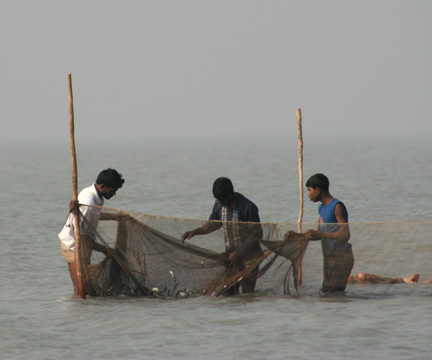 Fishermen #6 Let's see what's in the net!
