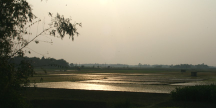 Sunset A beautiful sunset over a Bangladesh rice field.
