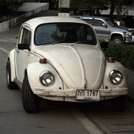 "White Bug" "White Bug"