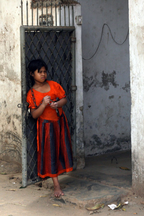 Bright Orange or What! Bright Orange or What!