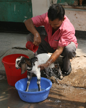 Getting cleaned up! Getting cleaned up!