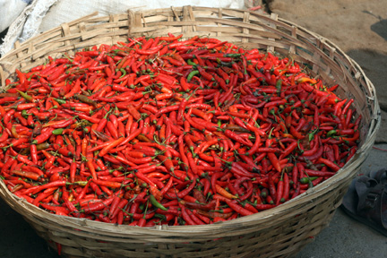 paka morich paka morich