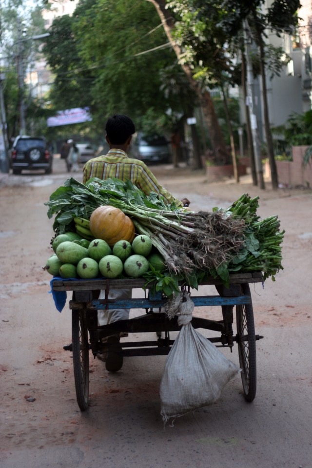 Veggies for Sale! Veggies for Sale!