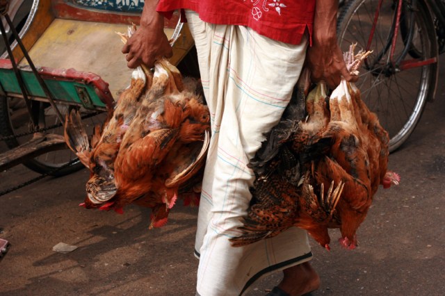 Fresh meat at your door!