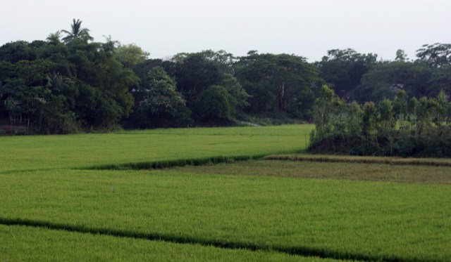 Beautiful Bangladesh! Beautiful Bangladesh!