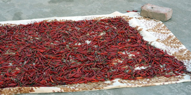 Some great curries coming up!