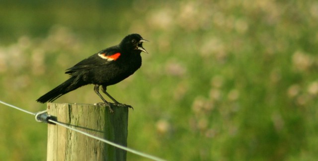 Sending someone a message?