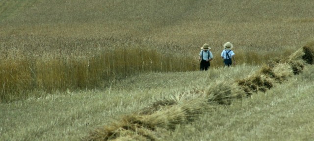 Enjoying the open spaces!