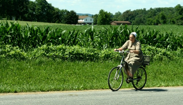 Amish Lady