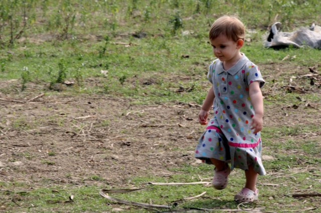 Chayla on the Loose!