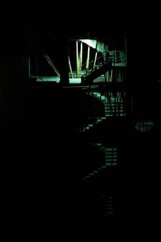 wtlossgreenlight-2551