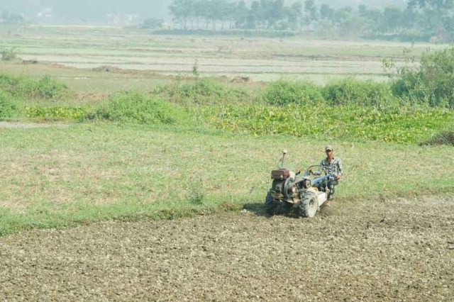 KeraniganjEllisOffice-9943