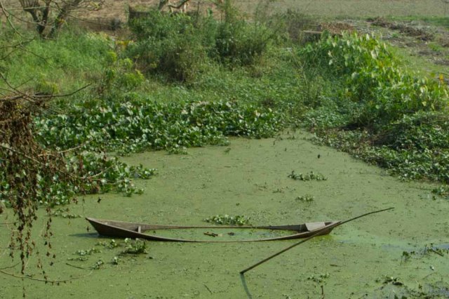 KeraniganjEllisOffice-9955