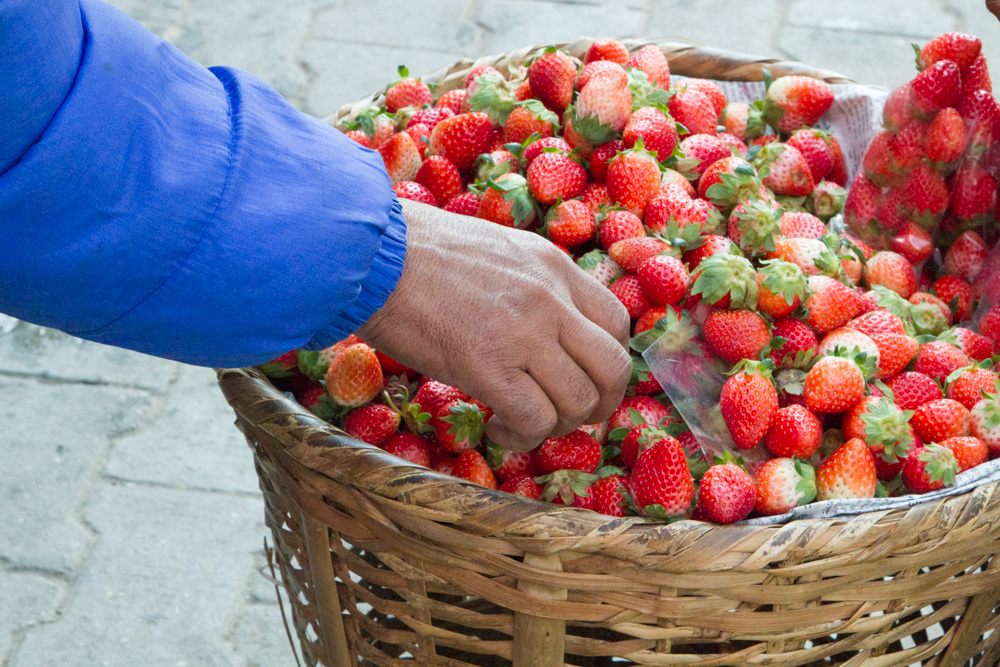 A large pile of strawberries brings back childhood memories of picking 100 quart of berries on my parent's strawberry patch!
