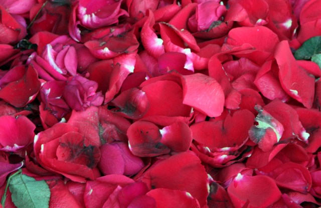 Rose Petals in bucket at the flower vendor's stand!