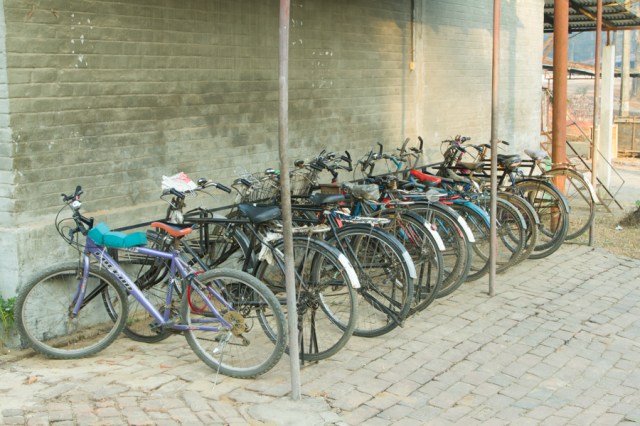 Bicycles all in a row!