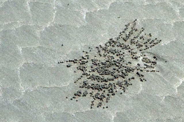 A very unique pattern!