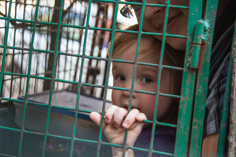 Little Boy Sees Me Through the CNG bars!