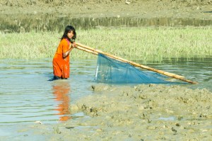 Pushing the Net in Knee-Deep Water.