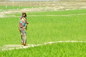 Beautiful Bangladesh Countryside!