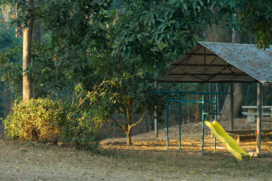 Morning Light on Sliding Board