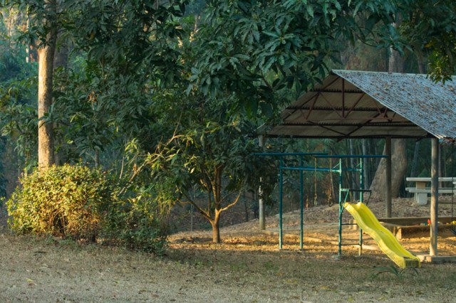 Morning Light on Sliding Board