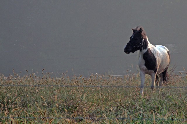 Let me know if this uploads slow for anyone. I thought I had resized it but obviously not.