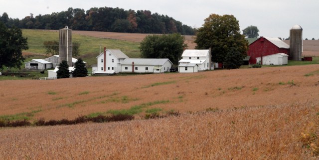 Typical Holmes County Farm Buildings
