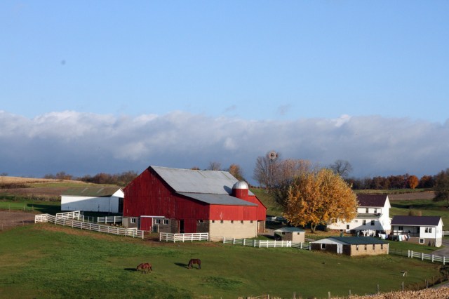 Uncle Joe's Farm