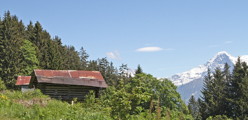 Marlandphotos-Scenic-Alpine View