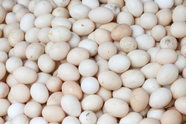 marlandphotos-blog-photography-eggs-pile