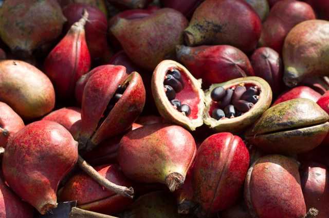 StreetPhotography-7871