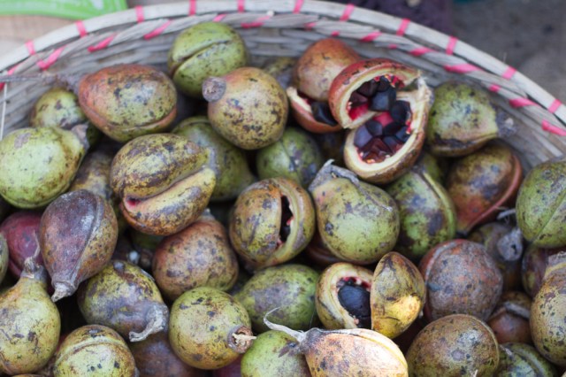 marlandphotos-blog-photograpy-small nuts-bangladesh-identify