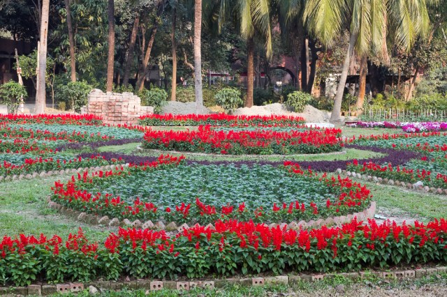 Marlandphotos-blog-photography-Flowers-Parliament-Bangladesh-Garden