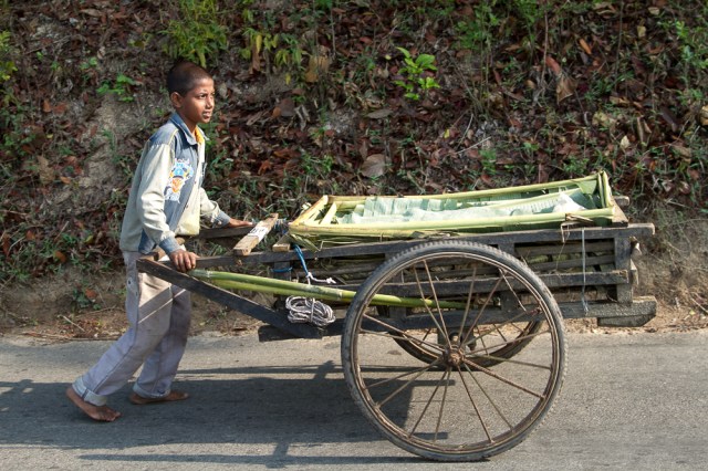 marlandphotos-blog-photography-cart-produce-SriMongol