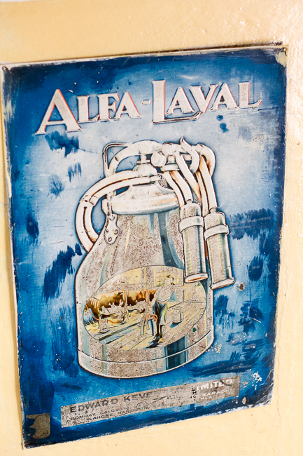 marlandphotos-blog-photography-milker-Darjeeling