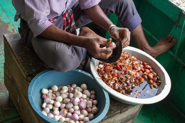 marlandphotos-blog-photography-food-onions
