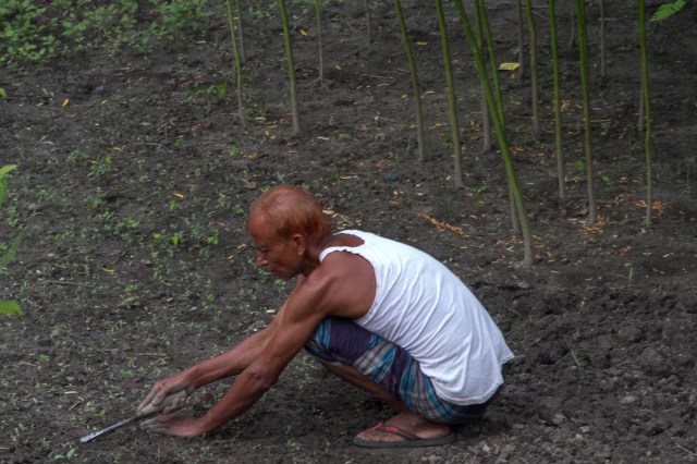 marlandphotos-blog-photography-bangladesh-Rajshahi-gardener