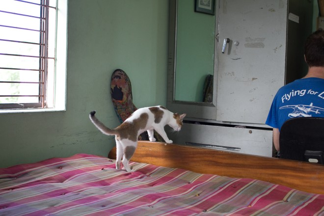 I Think There is Something Interesting in Drawer