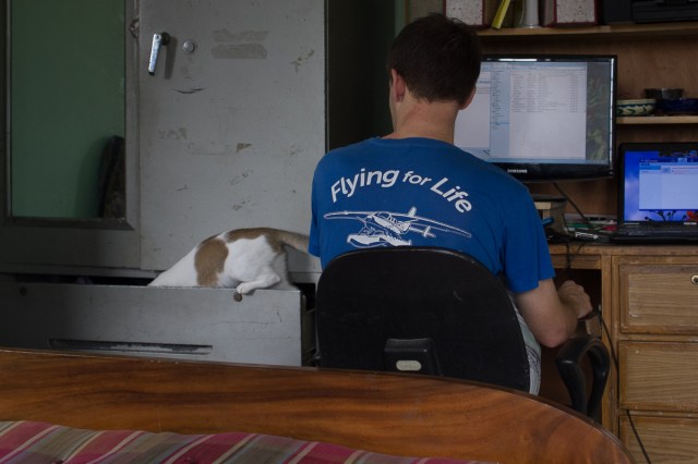 Cat's in the Drawer-Owner Ponders His Next Move!