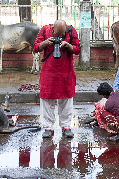 Catching the Reflecttion