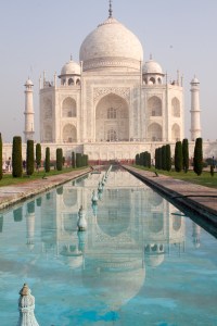 Early Morning Reflection