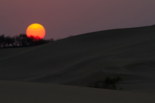 marlandphotos-blog-photography-travel-India-Rajasthan-Jaisalmer