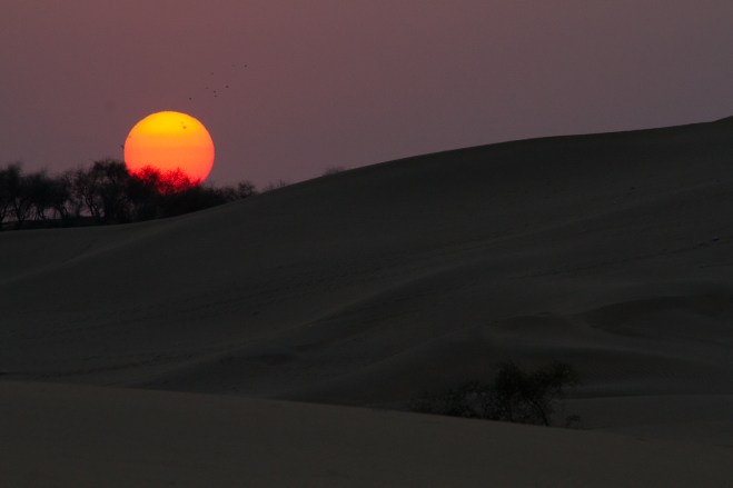 marlandphotos-blog-photography-travel-India-Rajasthan-Jaisalmer