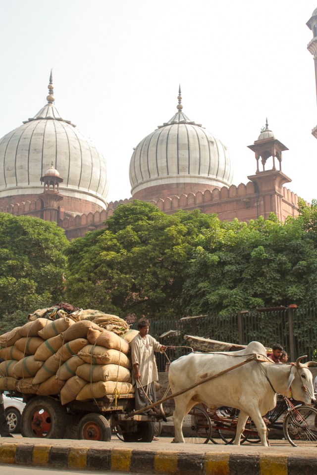 marlandphotos-blog-photography-travel-india-juma-mosque-delhi