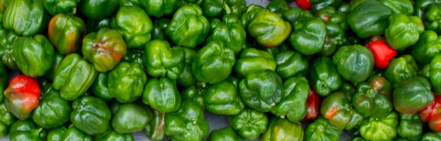 Green Peppers