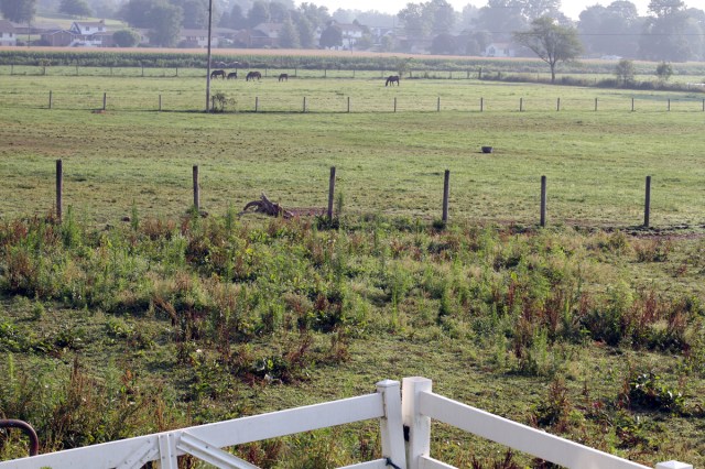 Lovely Sugarcreek Fields