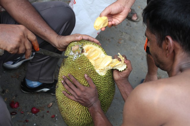 It should feed the whole team!