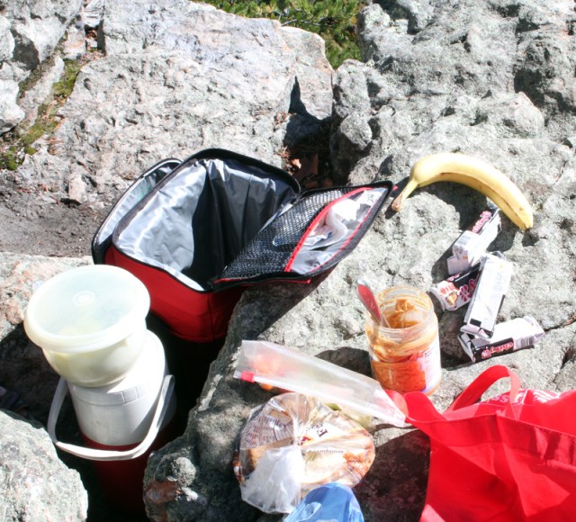 Fixings for a Picnic Lunch