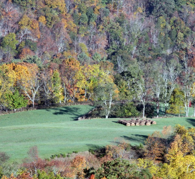 Another nice view into the valley from Highway 33 at the top of the mountain!